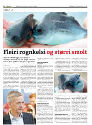 Síða 10