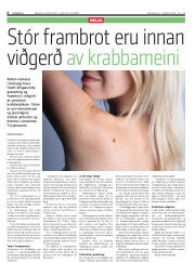 Síða 8