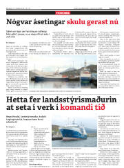 Síða 11