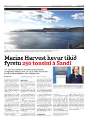 Síða 15
