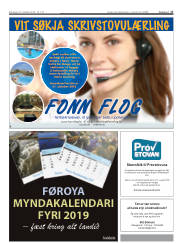 Síða 17