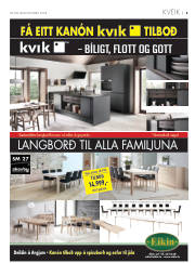 Síða 29