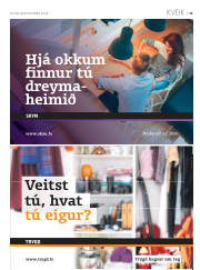 Síða 41
