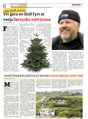 Síða 6