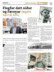 Síða 11