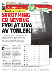 Síða 12