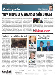 Síða 2