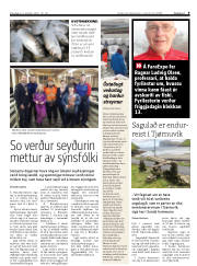 Síða 9