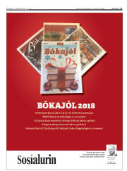 Síða 11