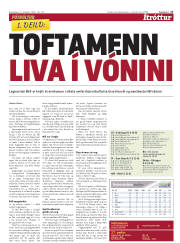Síða 17