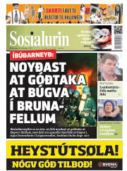 Síða 1
