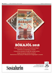 Síða 24