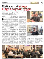 Síða 3