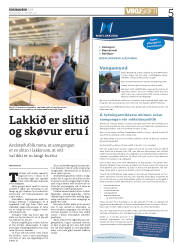 Síða 5