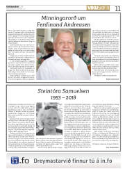 Síða 11