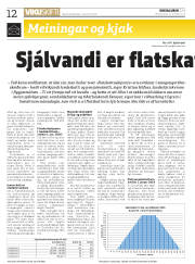 Síða 12