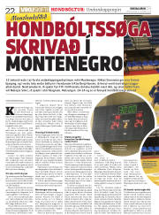 Síða 22