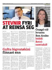 Síða 3