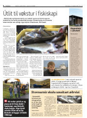 Síða 8