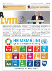 Síða 11