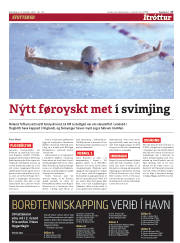 Síða 17