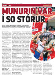 Síða 18