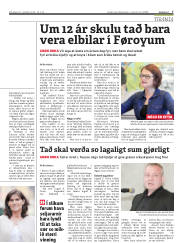 Síða 7