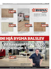 Síða 11