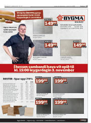 Síða 13