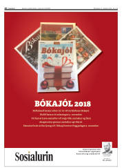 Síða 28