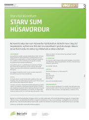 Síða 3