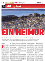 Síða 12