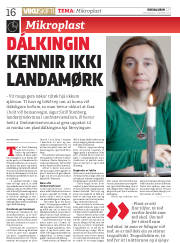 Síða 16