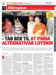 Síða 18