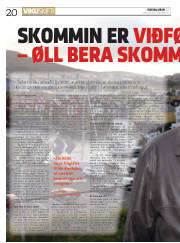 Síða 20