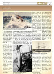 Síða 25