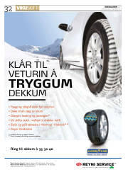 Síða 32