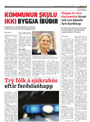 Síða 3