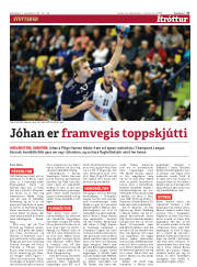 Síða 17