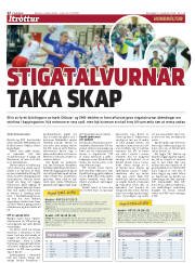 Síða 22