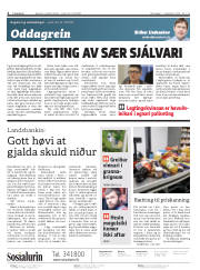Síða 2