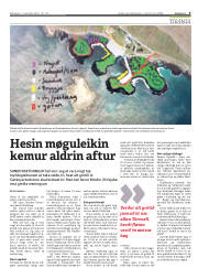 Síða 9