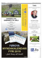 Síða 18