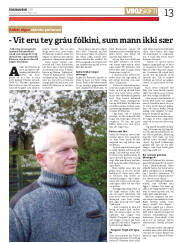 Síða 13