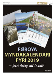 Síða 23