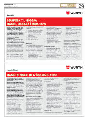 Síða 29