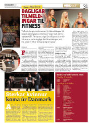 Síða 31