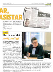 Síða 13