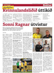 Síða 17
