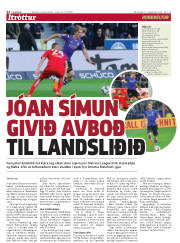 Síða 22
